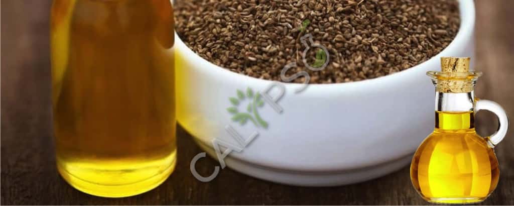 Ajowan Spice Oil